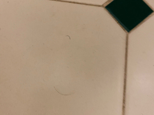 La Quinta Inn & Suites By Wyndham Greensboro NC主图