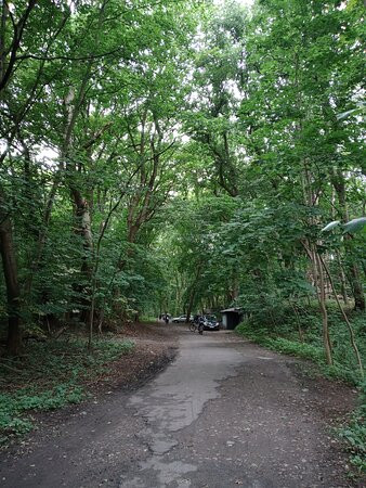 Park Zdrojowy-希维诺乌伊希切必去景点