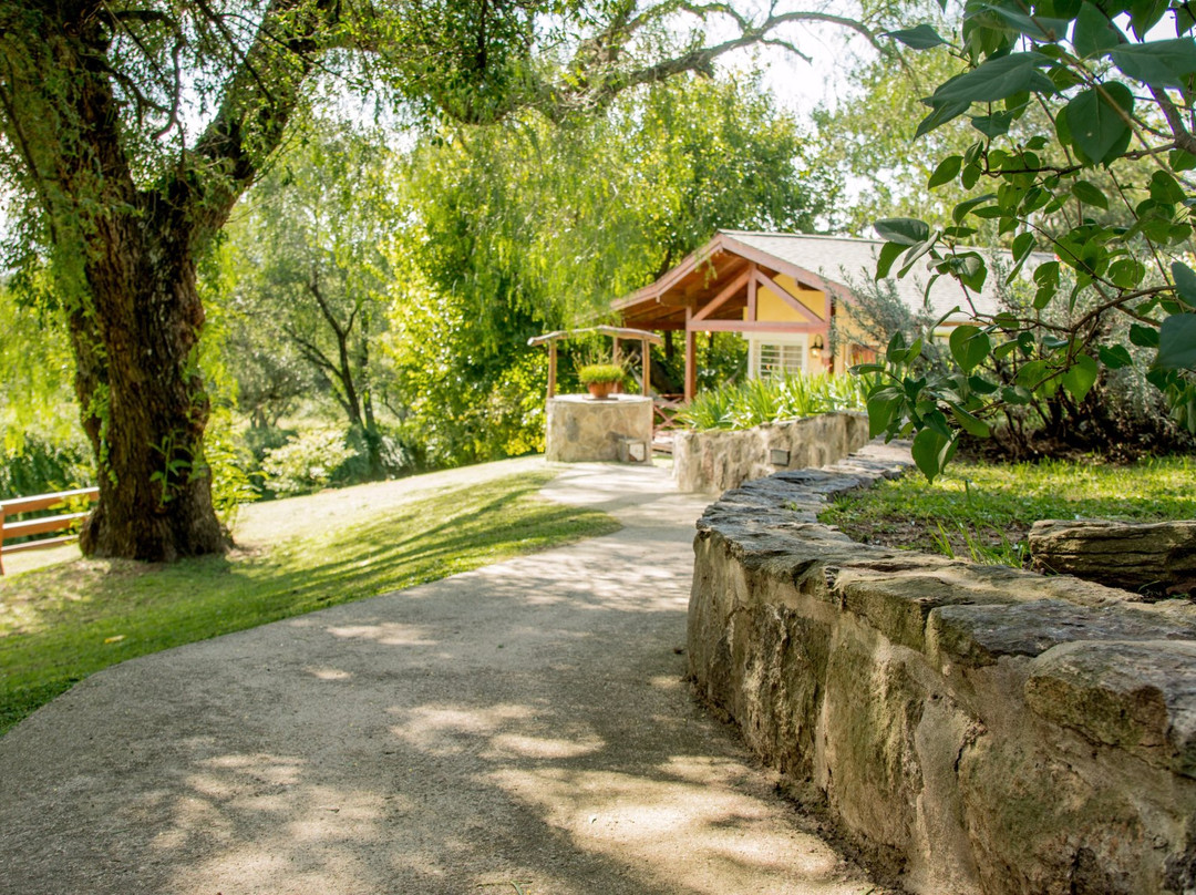 Del Arroyo Cabañas
