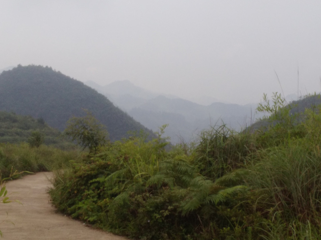 桐梓县旅游攻略图片