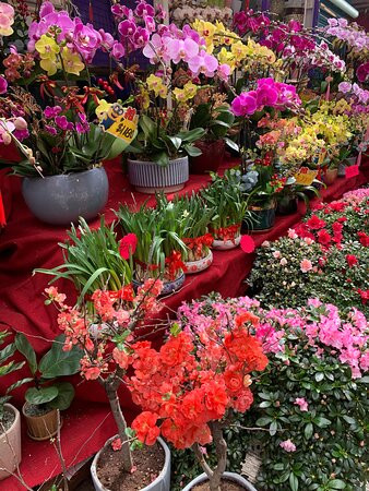 机利臣街市场-香港必去景点