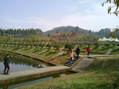 新津县旅游攻略图片