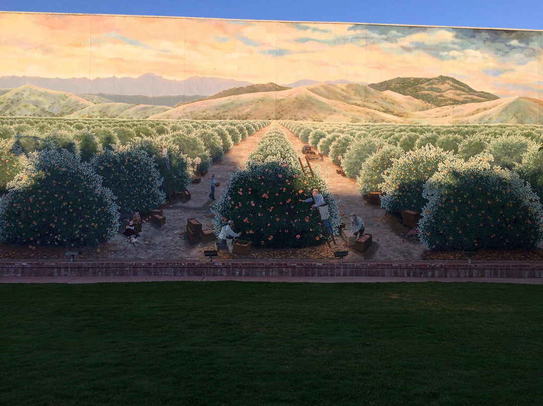 Exeter旅游攻略图片