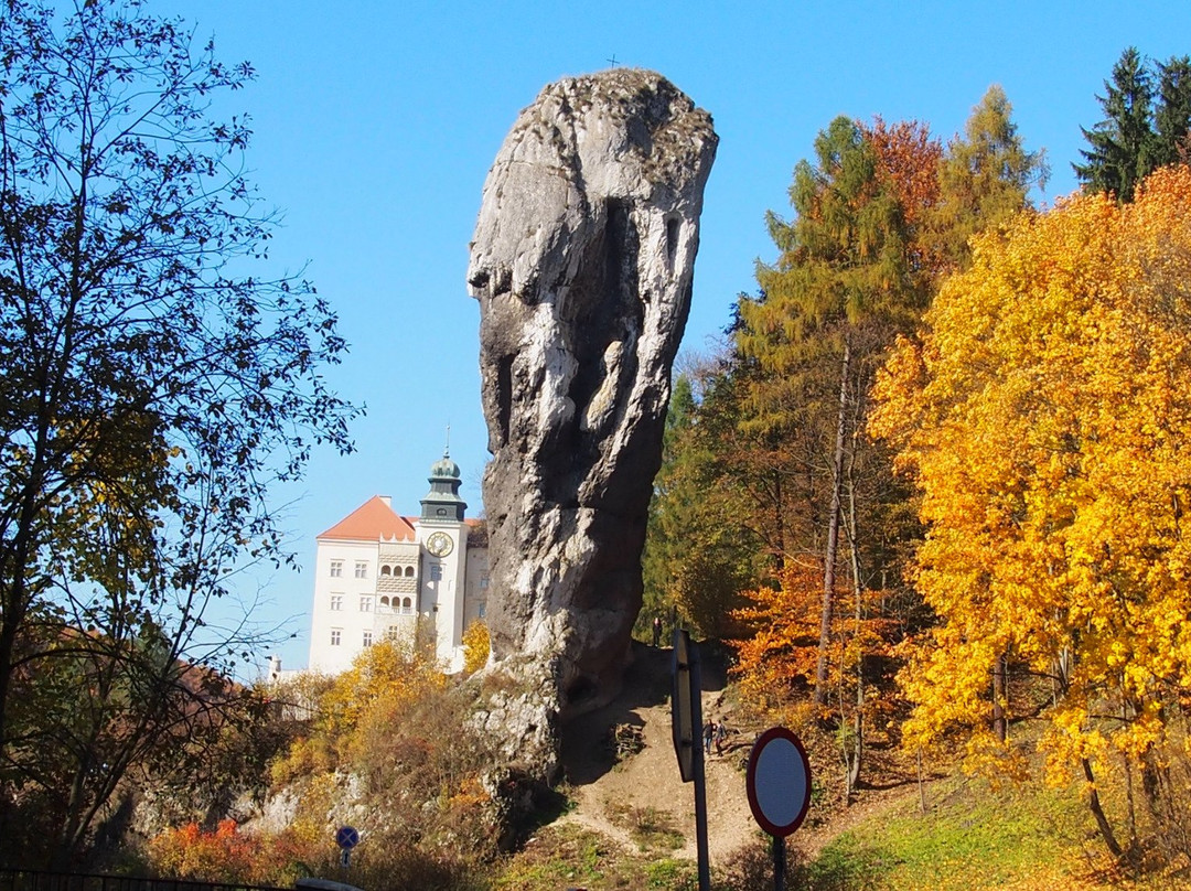 Suloszowa旅游攻略图片