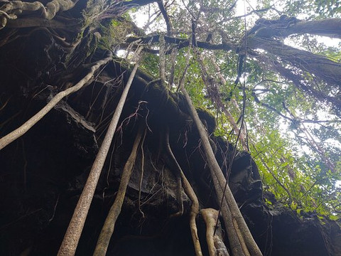 Maui Tour Company-芭雅必去景点