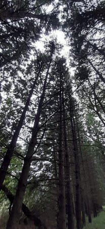 Christie Lake Conservation Area-邓达斯必去景点