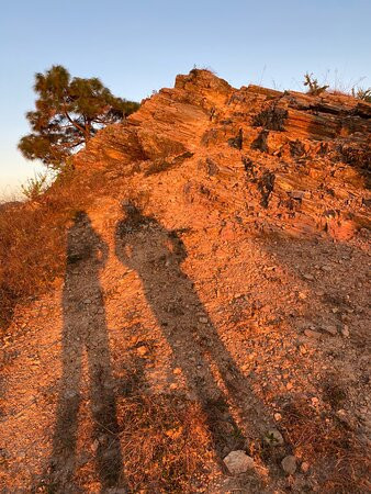 黑天兰花度假村主图