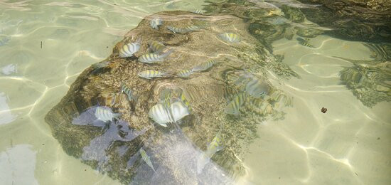 Mykonos Turismo-乌巴图巴必去景点