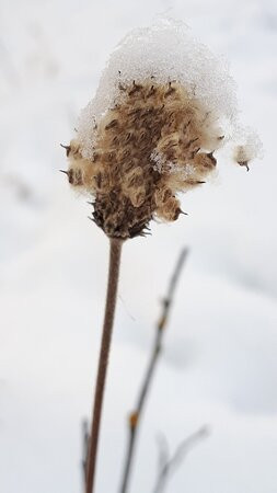 Birds Hill Provincial Park-曼尼托巴省必去景点