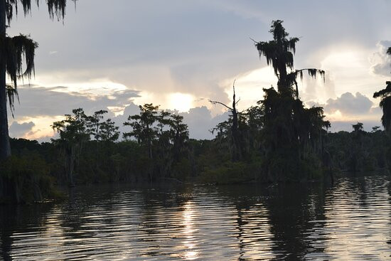 Swamp Tours of Acadiana景点图片
