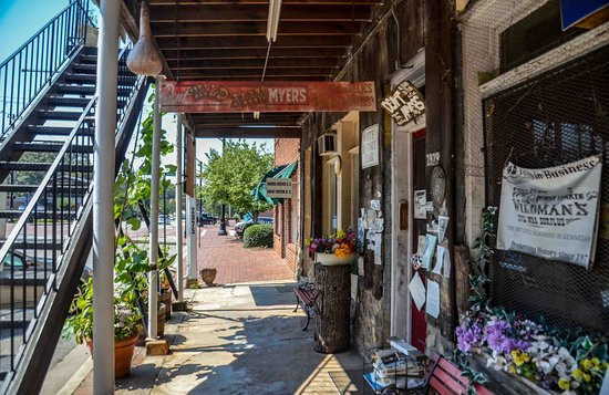 Wildman's Civil War Surplus-肯纳索必去景点