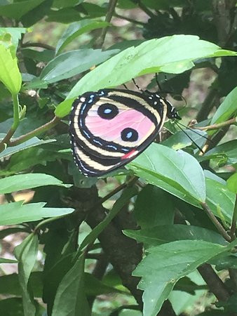 DoceLunas Hotel, Restaurant & Spa主图