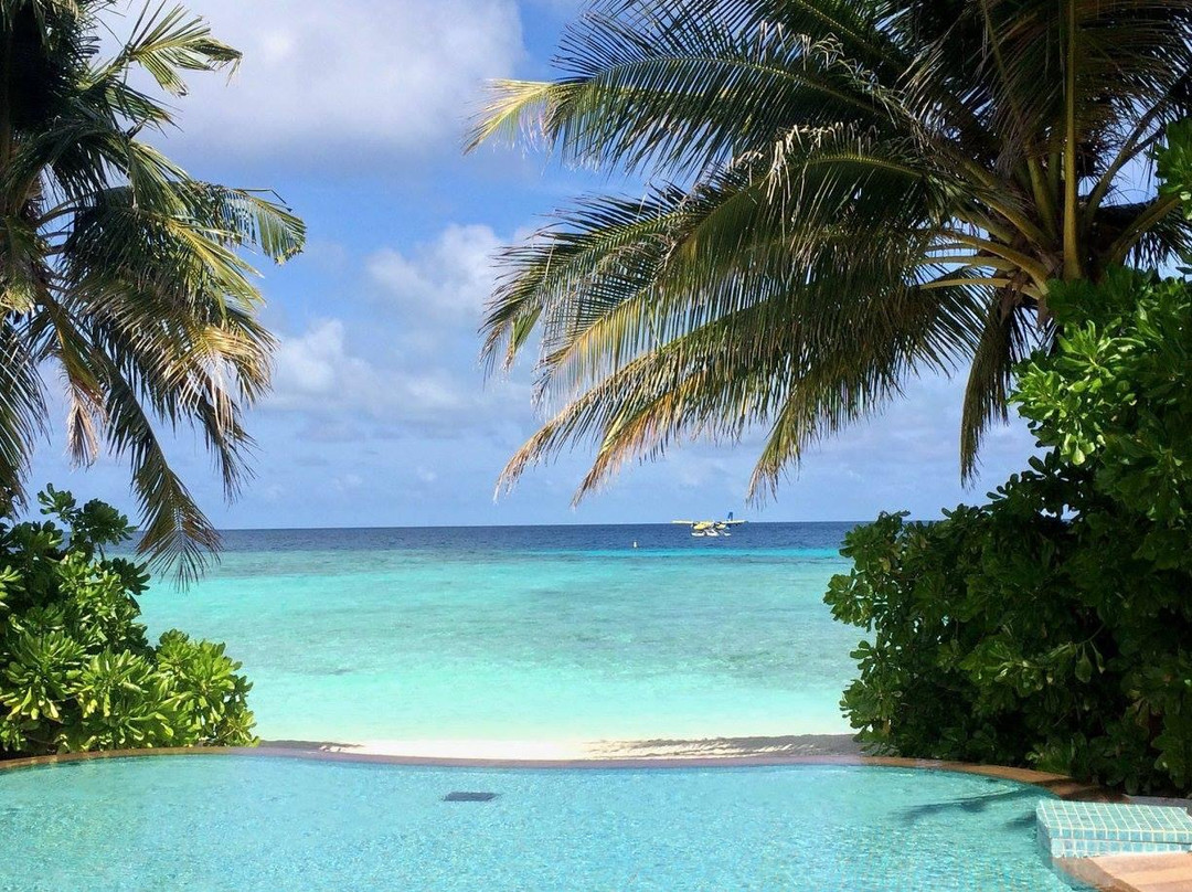 null-维利甘度岛