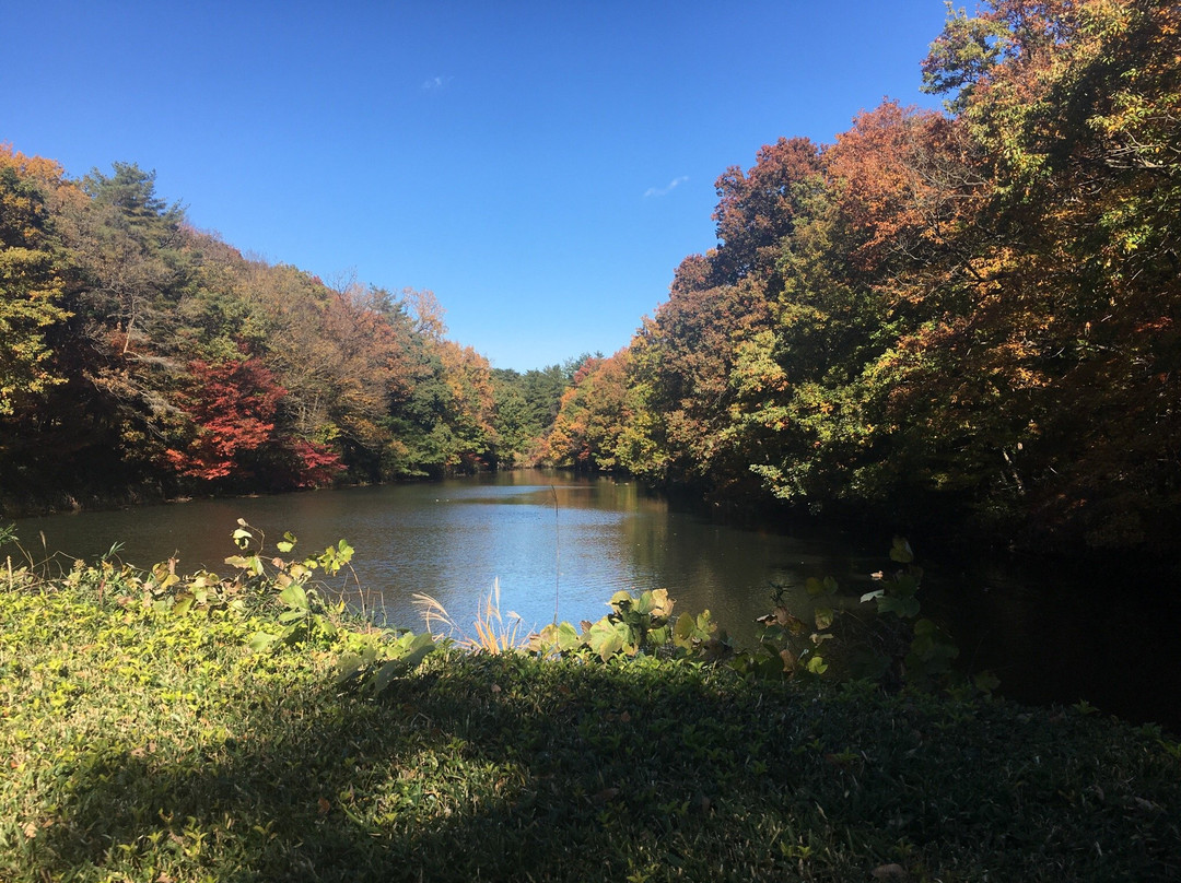 滑川町旅游攻略图片