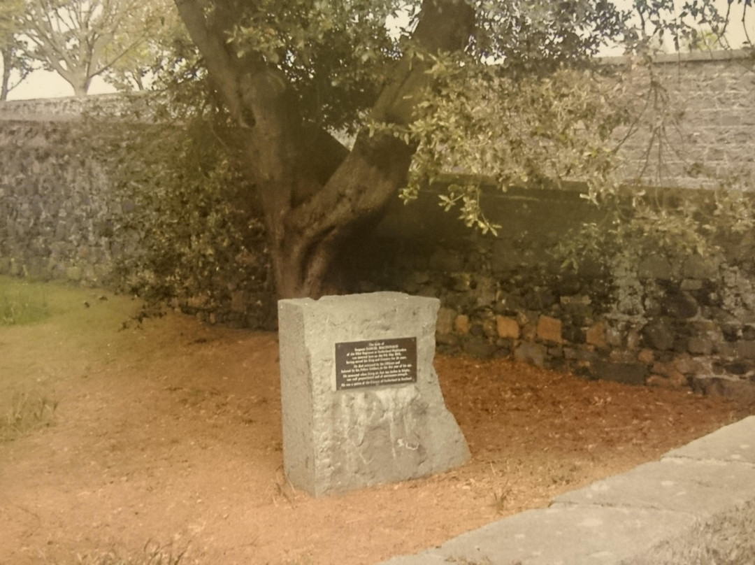 Sargeant Samuel Macdonald's Grave景点图片