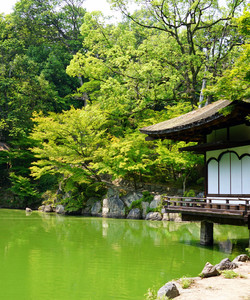 Momijidani Garden景点门票图片