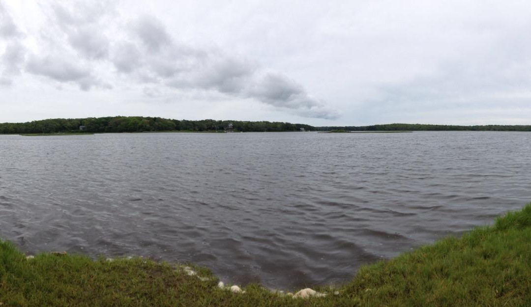 Slocum's River Reserve景点图片