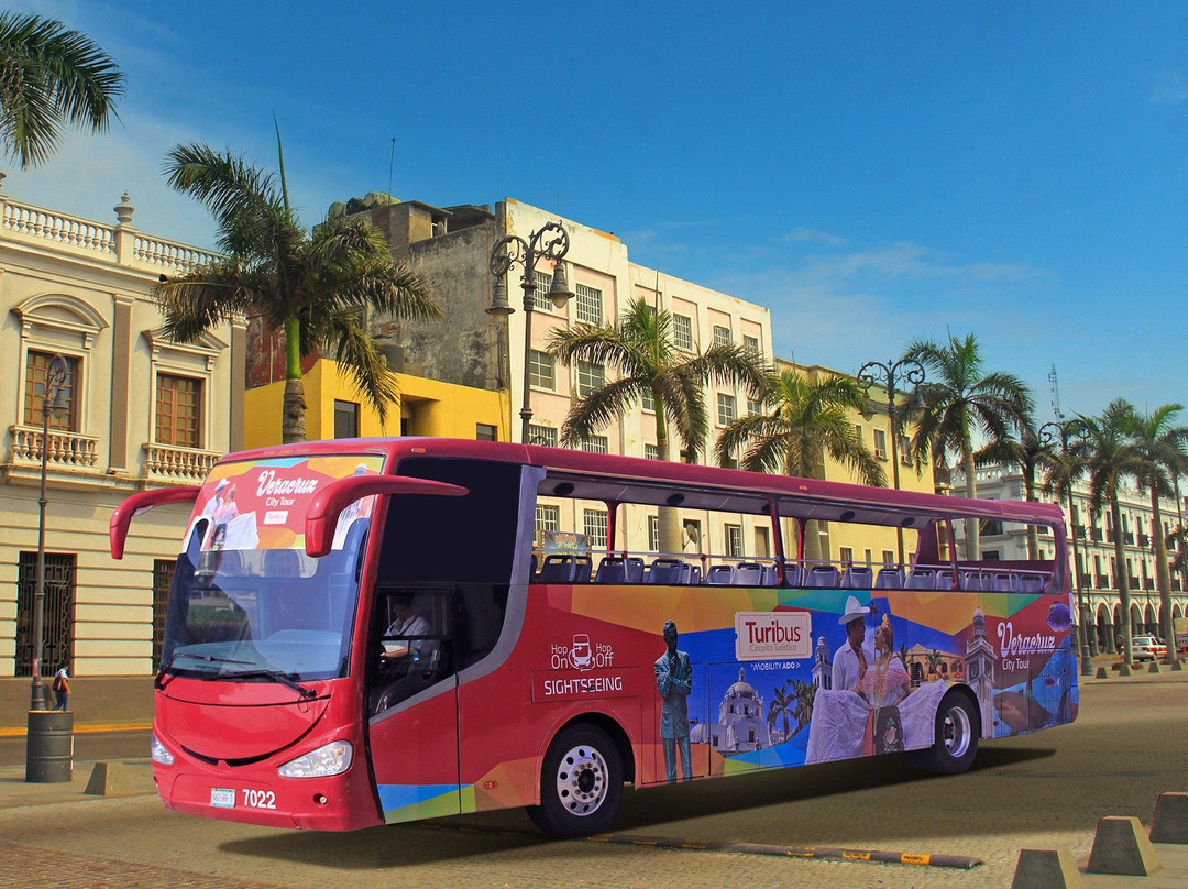 Turibus Veracruz景点图片