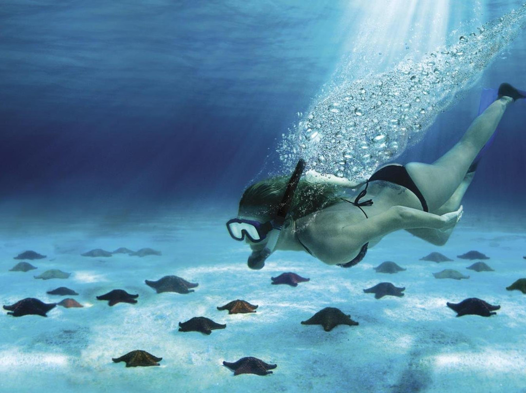 Isla Mujeres Cozumel Tour Operator-坎昆必去景点