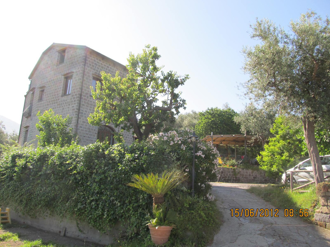 L'Olivara