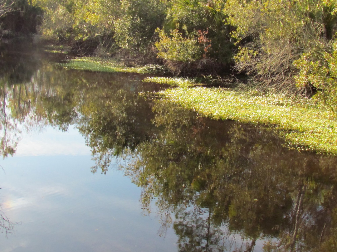 Welaka旅游攻略图片