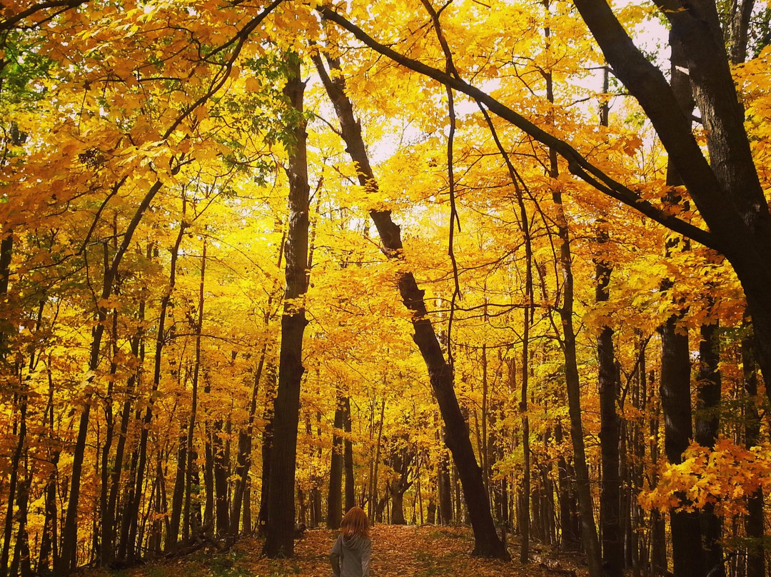 Mount Vernon旅游攻略图片