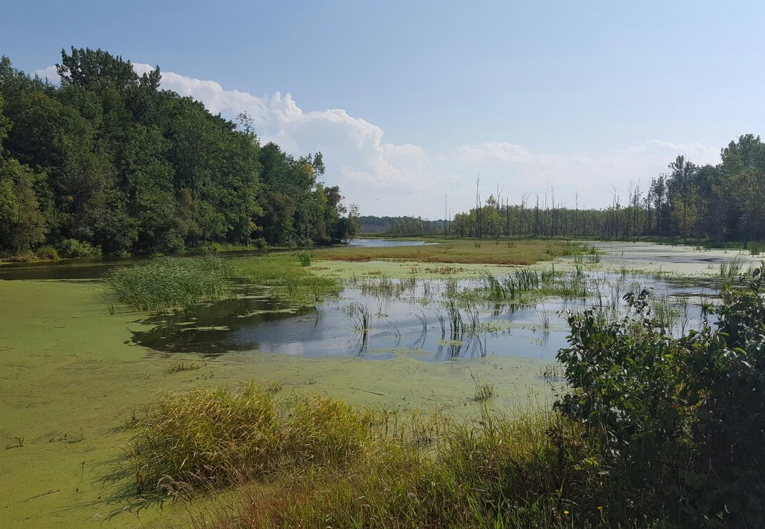 Iroquois National Wildlife Refuge景点图片