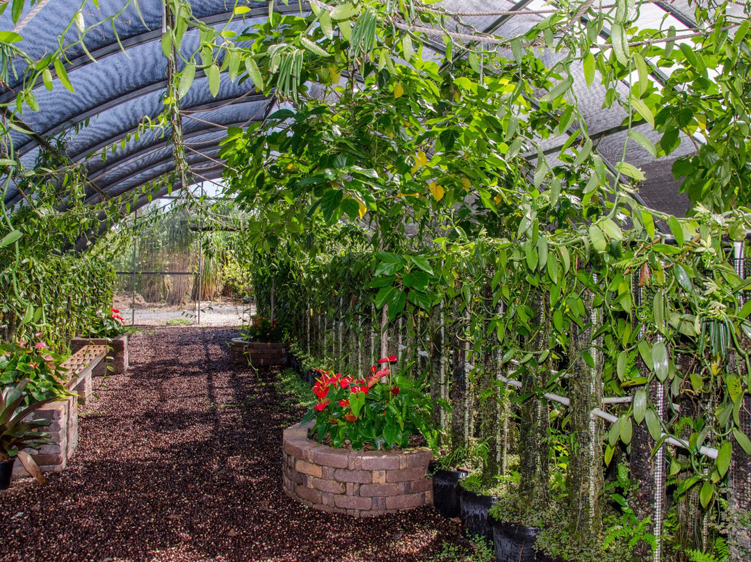 The Vanillerie-凯鲁瓦-柯纳必去景点