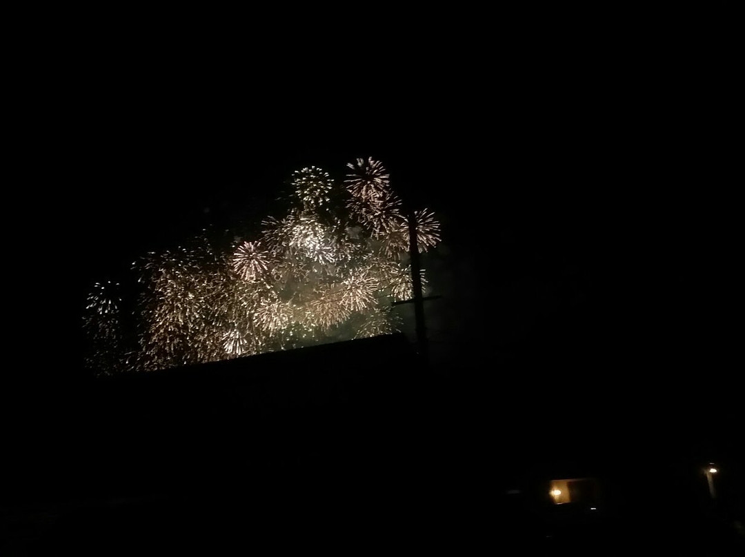 Kakogawa Matsuri Fireworks景点图片