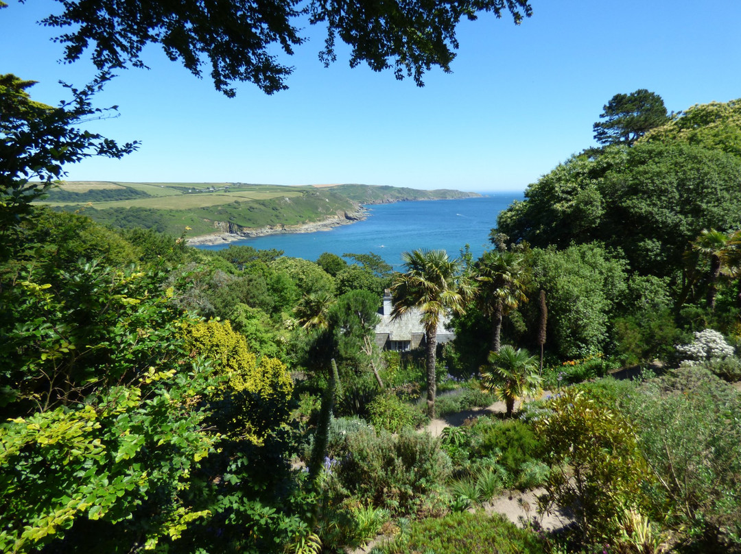 Salcombe旅游景点-Overbecks Garden