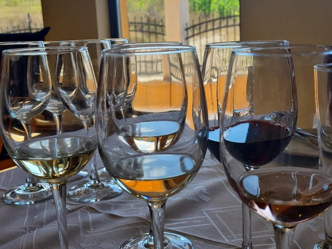 Varna Winery