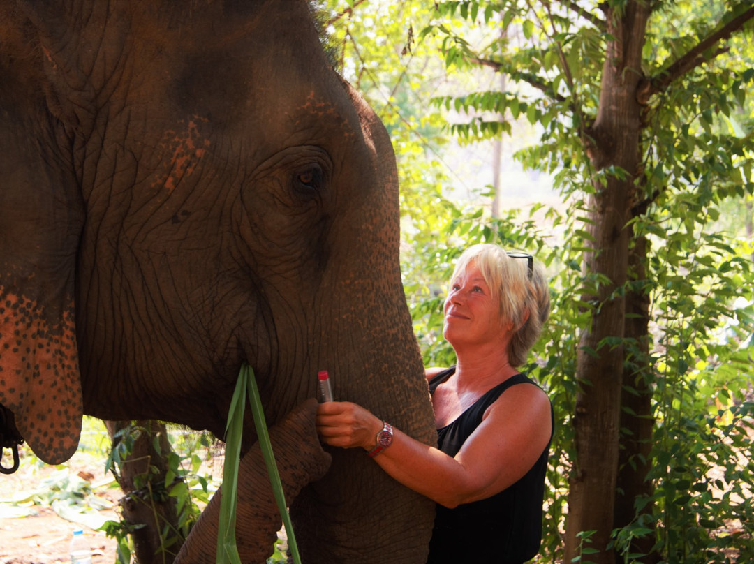 The Banana Orchard Project-北碧必去景点
