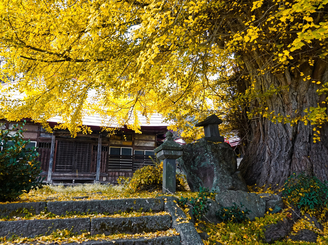 Choko-ji Temple景点图片