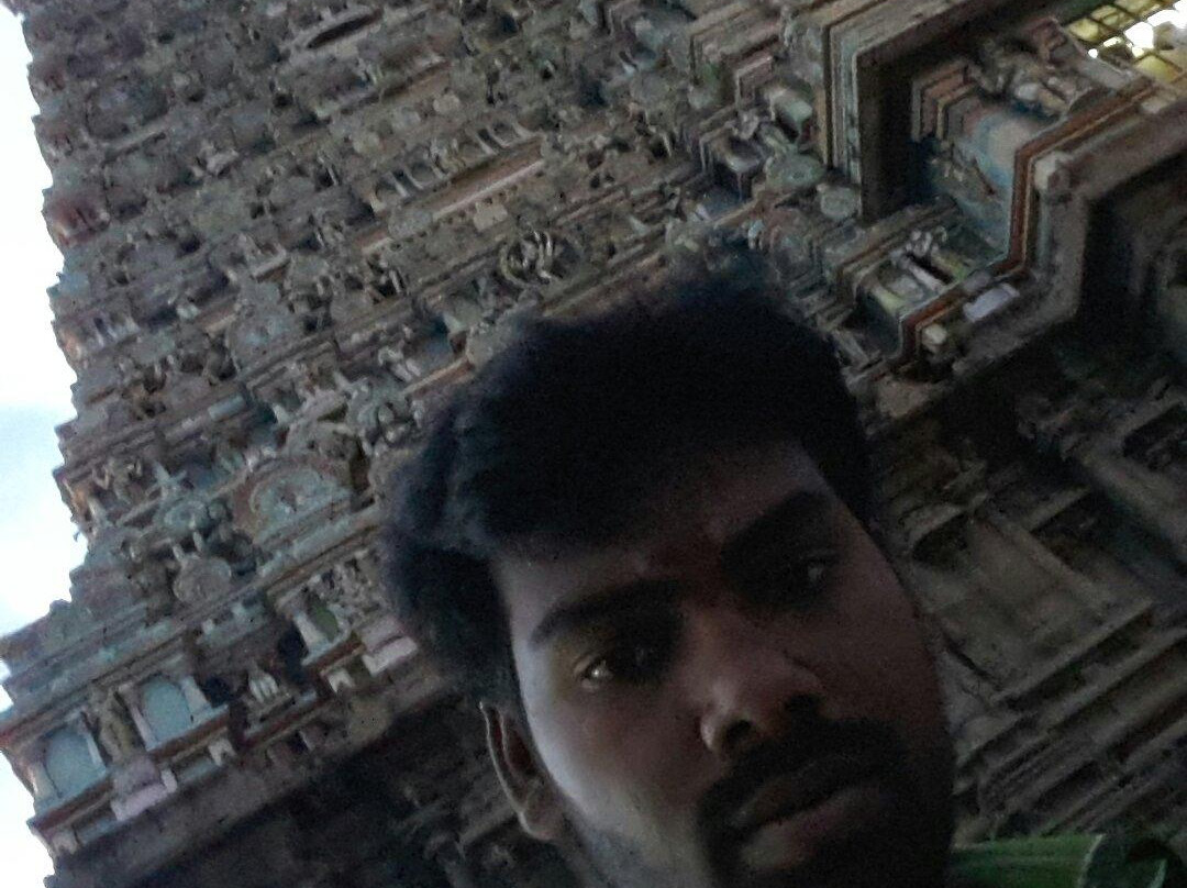 Allagammai Kashi Vishvanathar景点图片