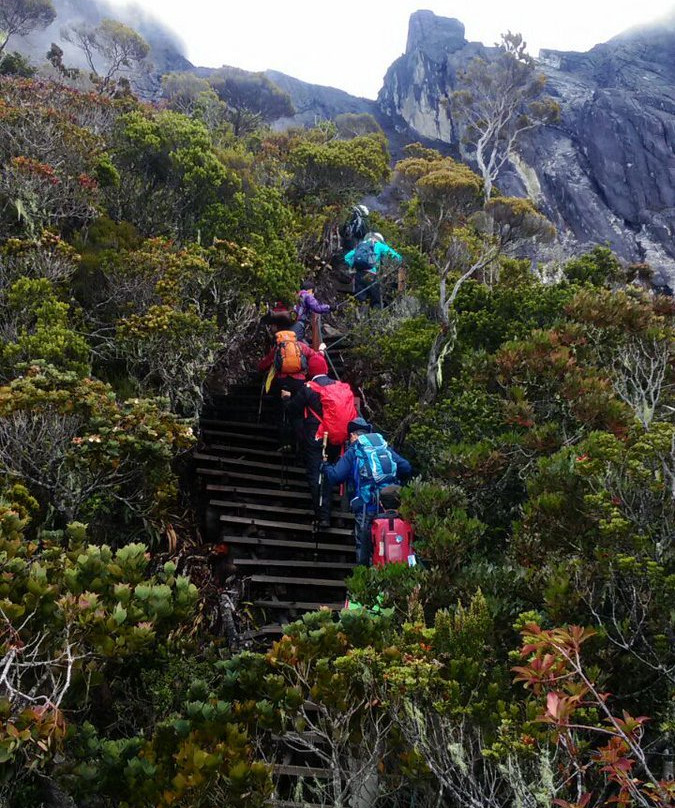 Borneo Trails Tours & Travel