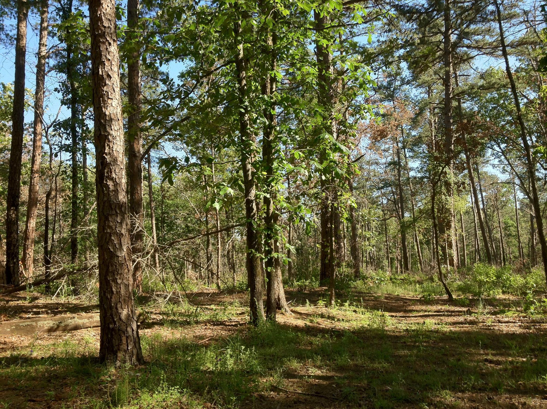 Atlanta旅游景点-Atlanta State Park
