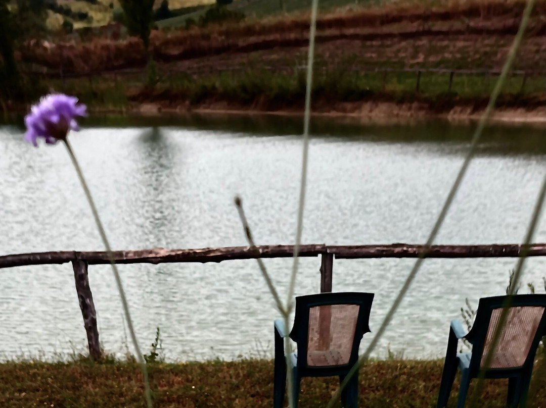 Podere Frassineto
