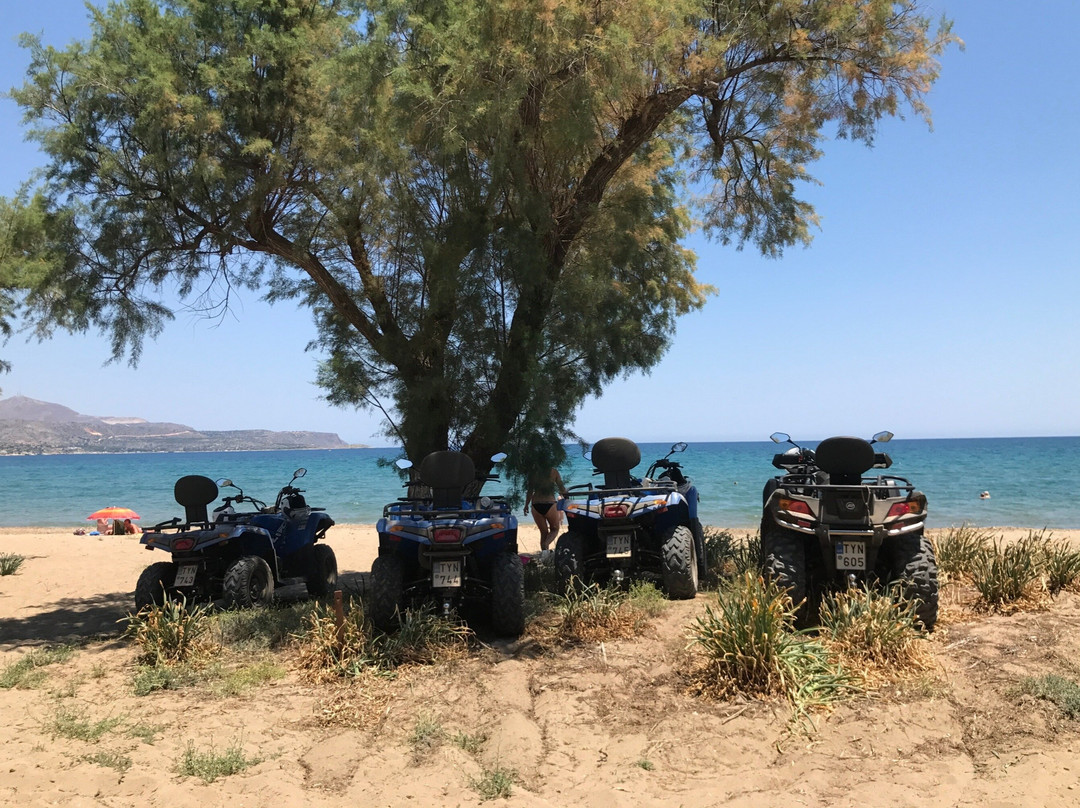 Beach Bums景点图片