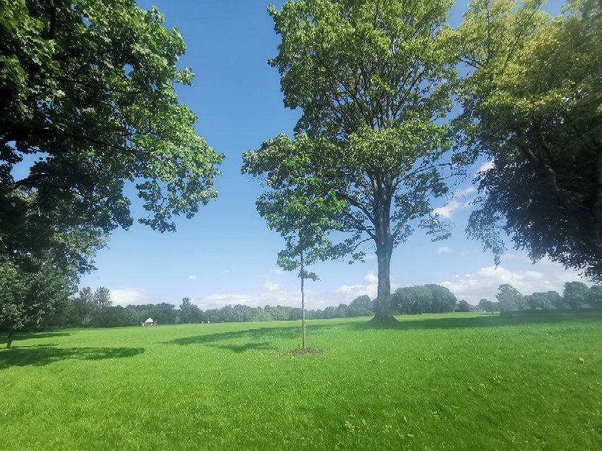 Moor Park-普雷斯顿必去景点