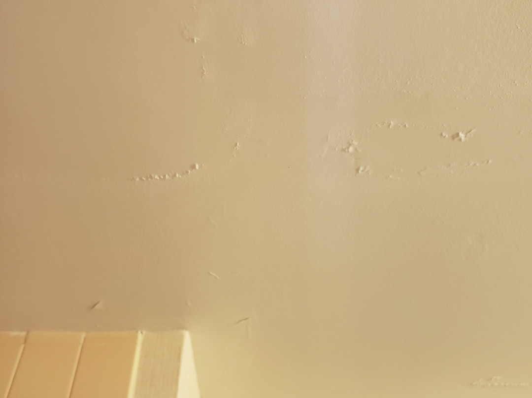 Wingate by Wyndham High Point/Greensboro主图