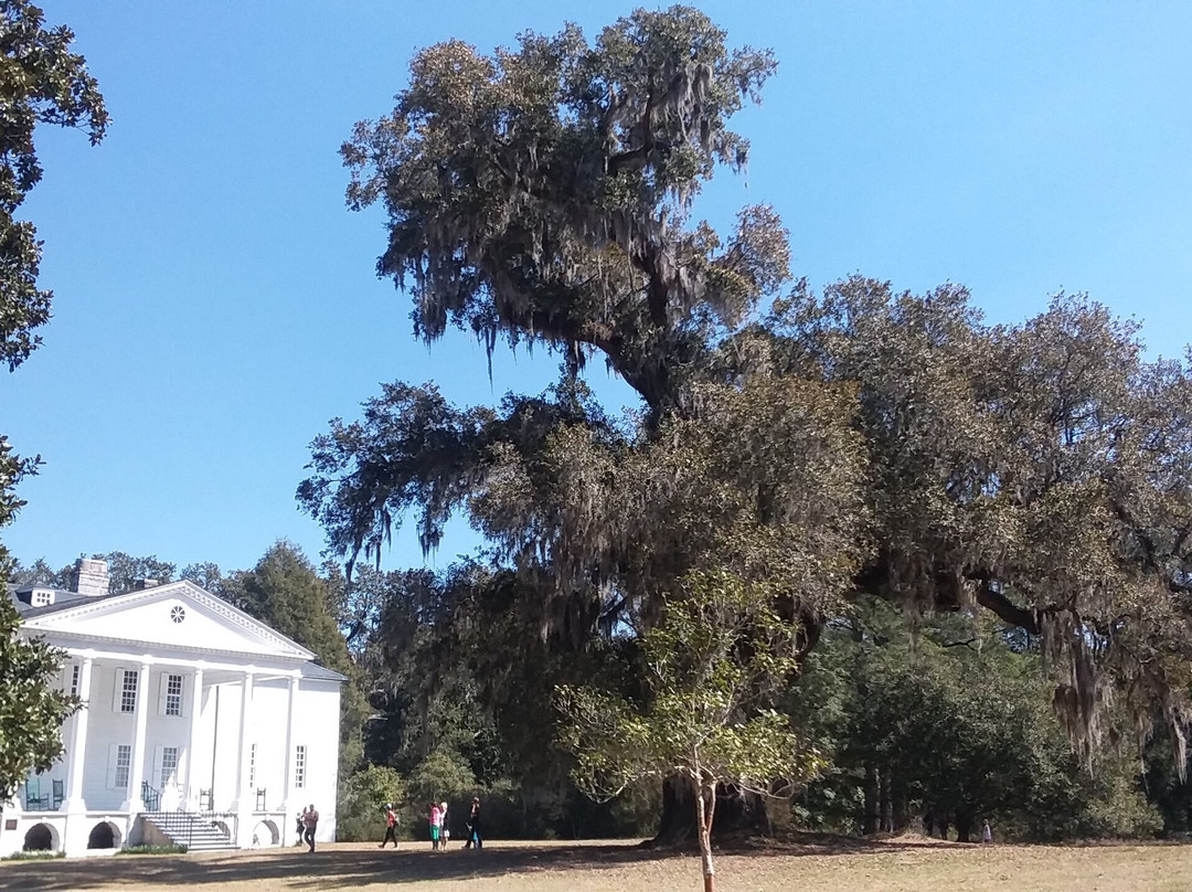 Hampton Plantation State Historic Site景点图片