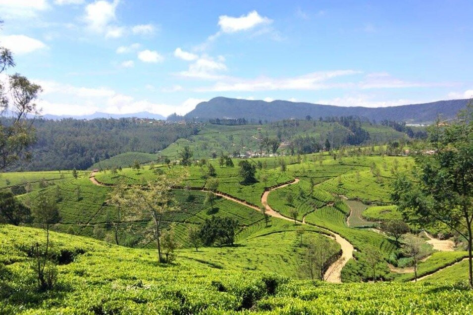 Nandika de silva-瓦都瓦必去景点