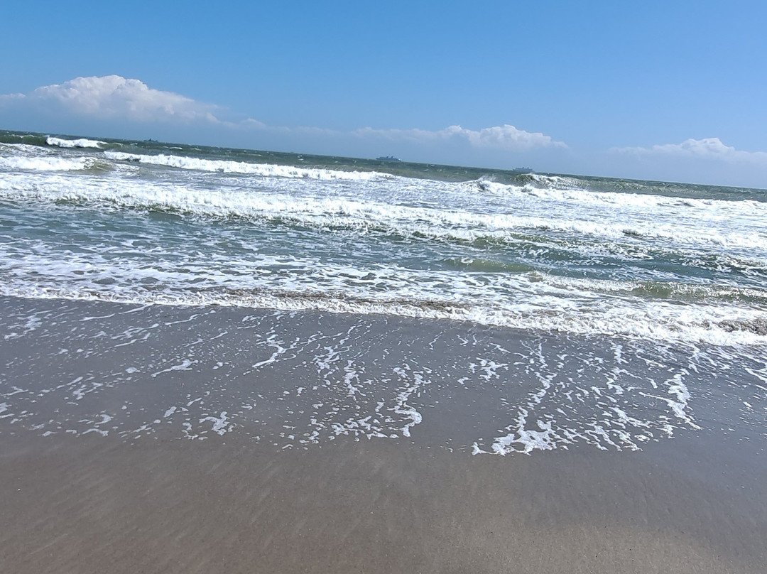 Best Western Plus St. Augustine I-95主图