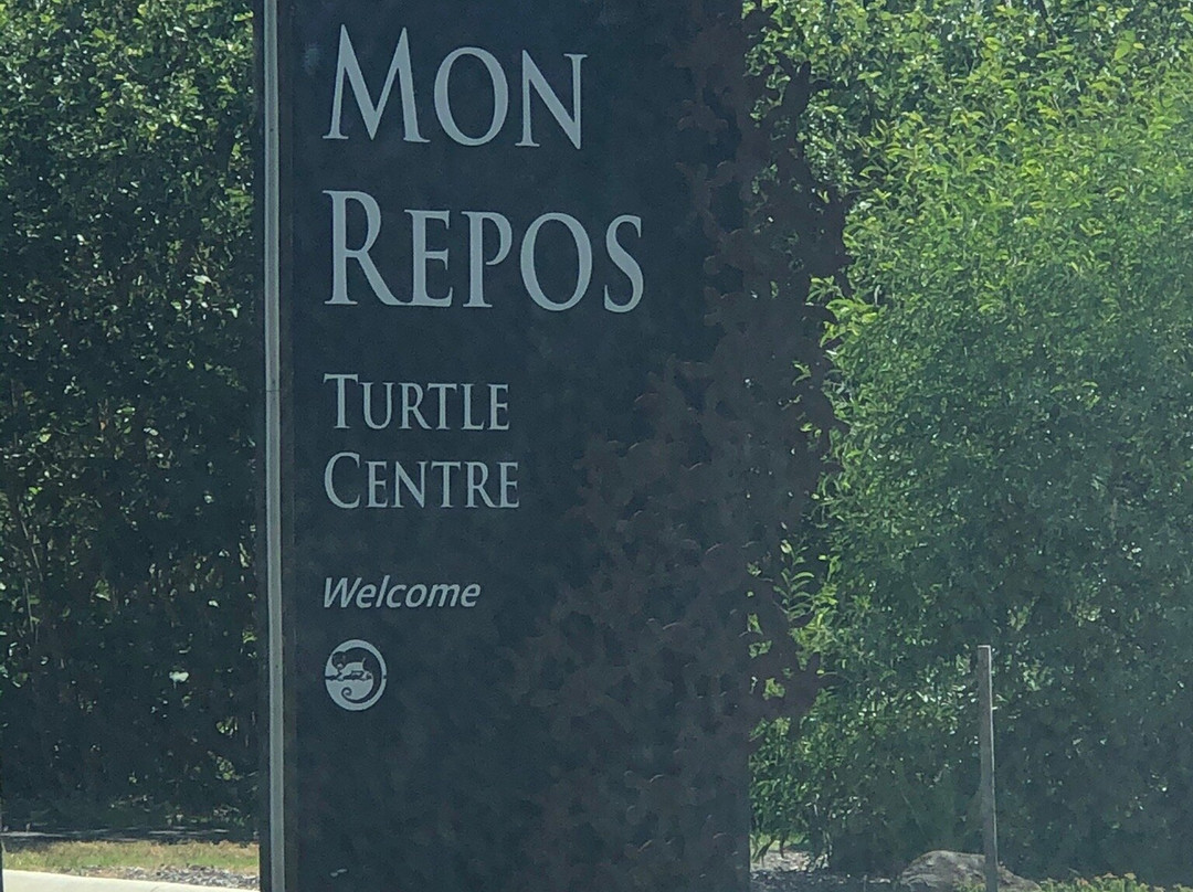 Mon Repos Turtle Centre景点图片