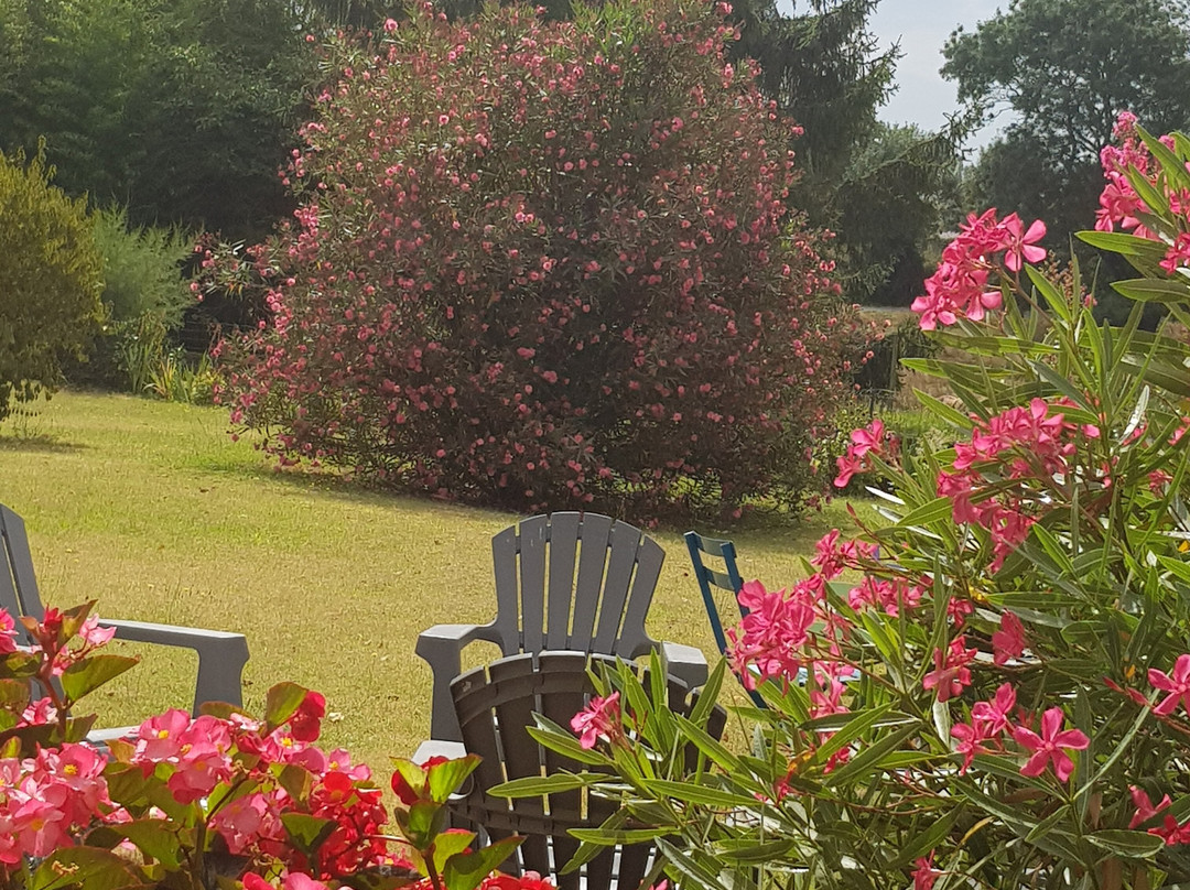 Domaine de La Gravette主图