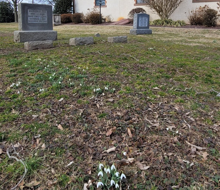 Saint Stephen's Episcopal Church-Earleville必去景点