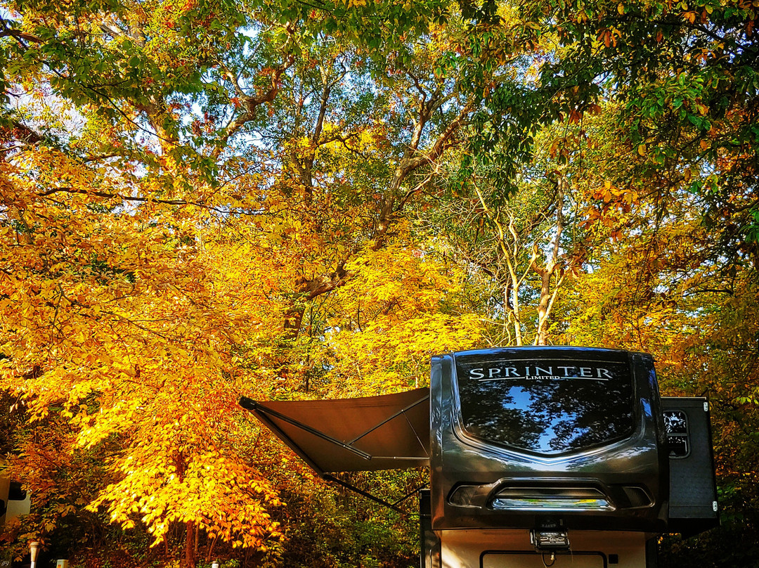 Basswood RV Resort主图