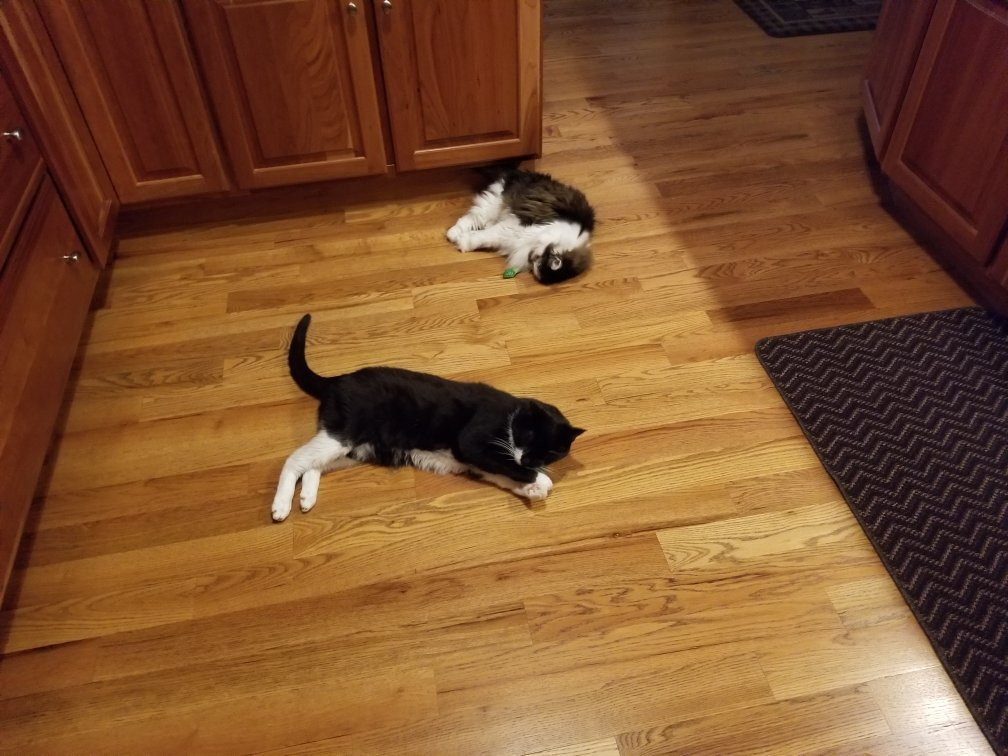 Days Inn & Suites by Wyndham Trinidad主图