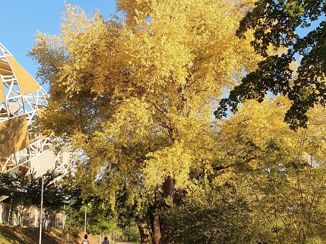 Parque de la Riberas-Culiacan必去景点