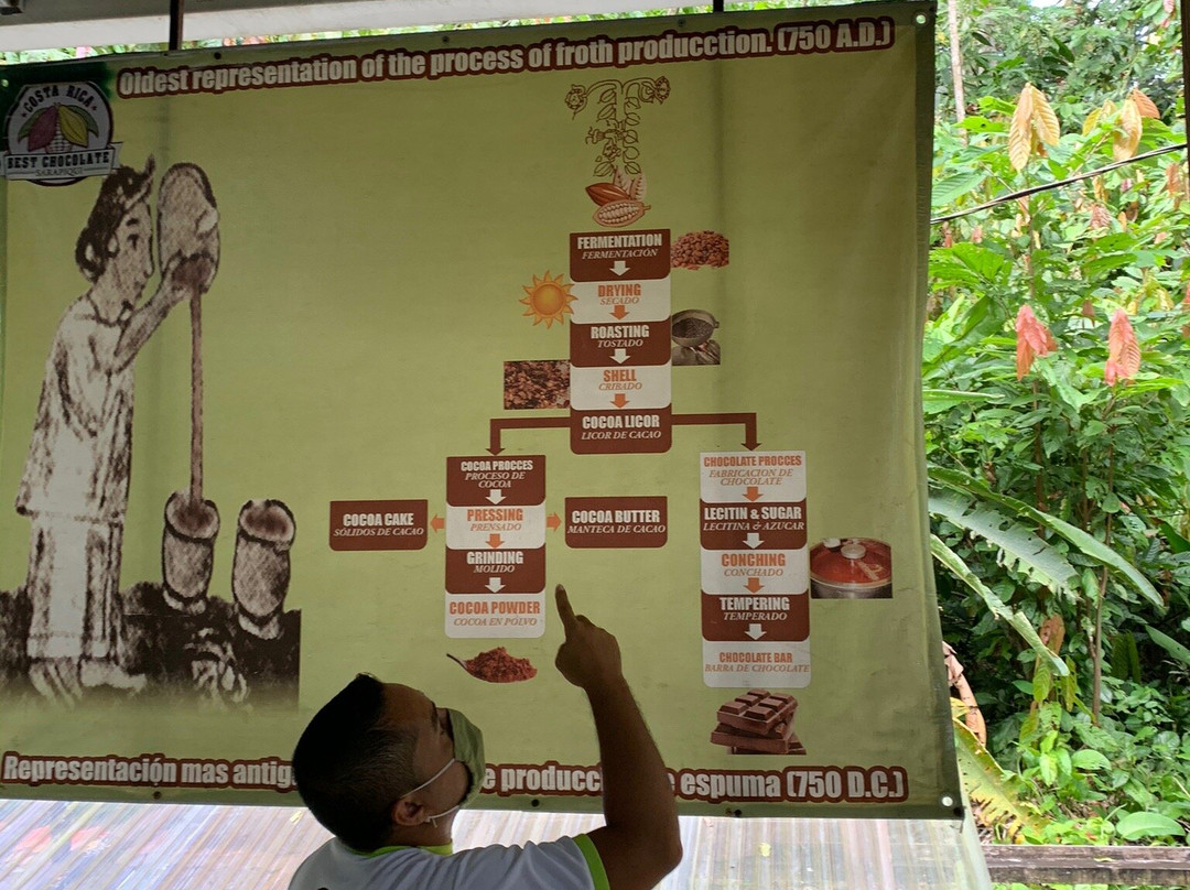 Costa Rica Best Chocolate景点图片